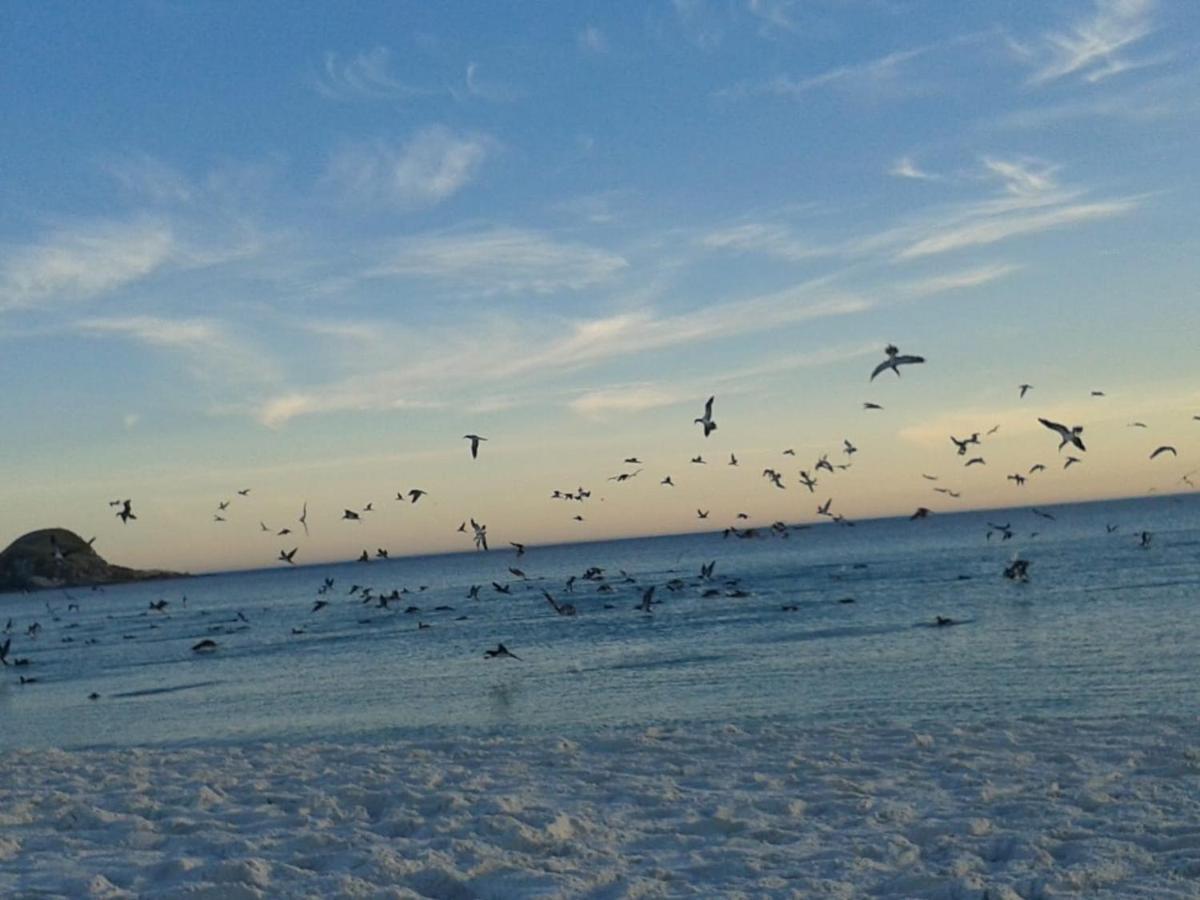 De Frente Para O Caribe Brasileiro. Arraial do Cabo Buitenkant foto